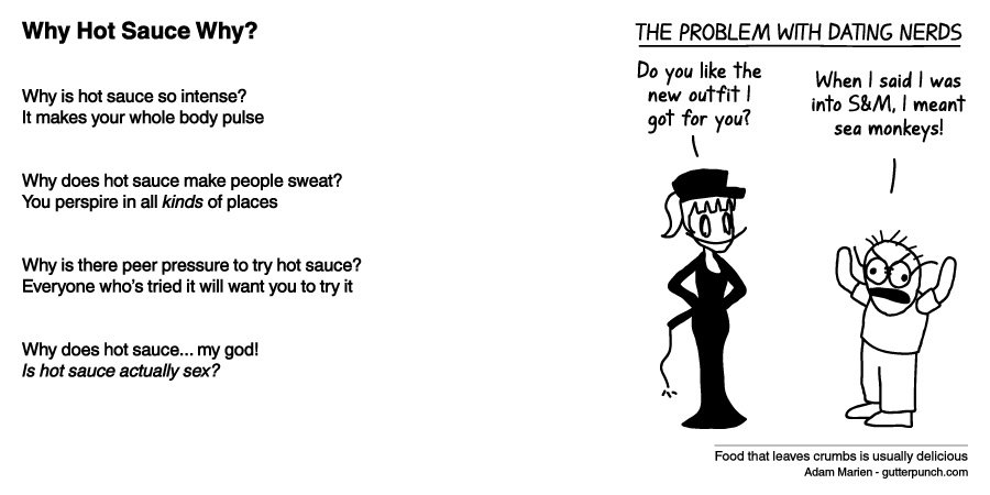 Why Hot Sauce Why?